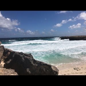 Meet your Posher, Maddie